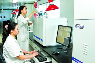 河南以网络技术服务驱动食品出口升级，九项措施精准应对新挑战